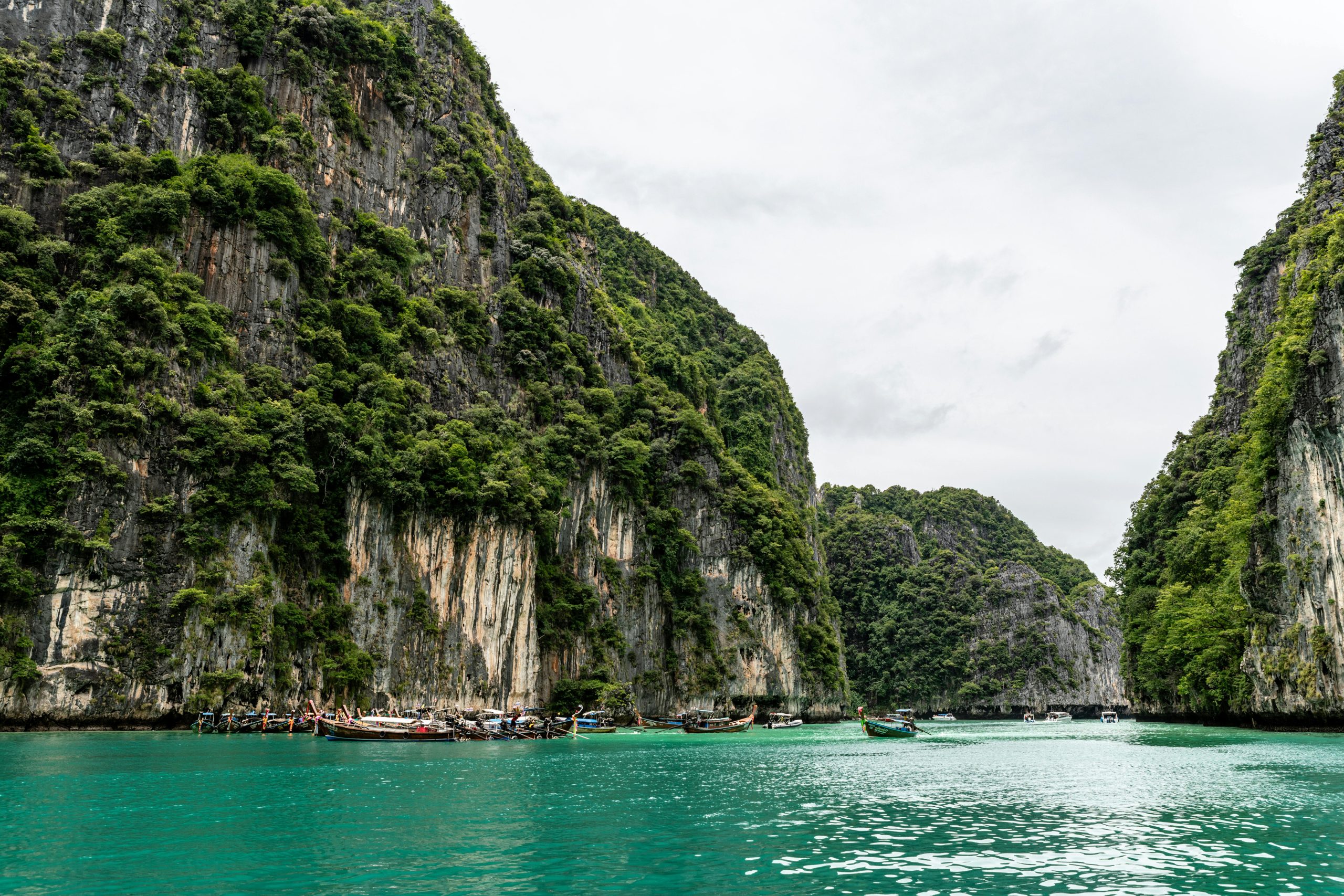 pexels kirandeepsingh 18289697 (1)